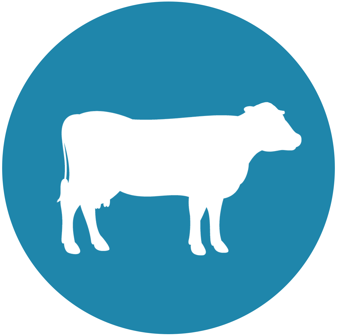 Dairy